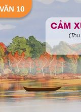 Cảm xúc mùa thu - Ngữ văn 10  -  Hoc10